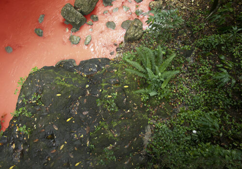 Galeria Vermelho - Andrés Ramírez Gaviria