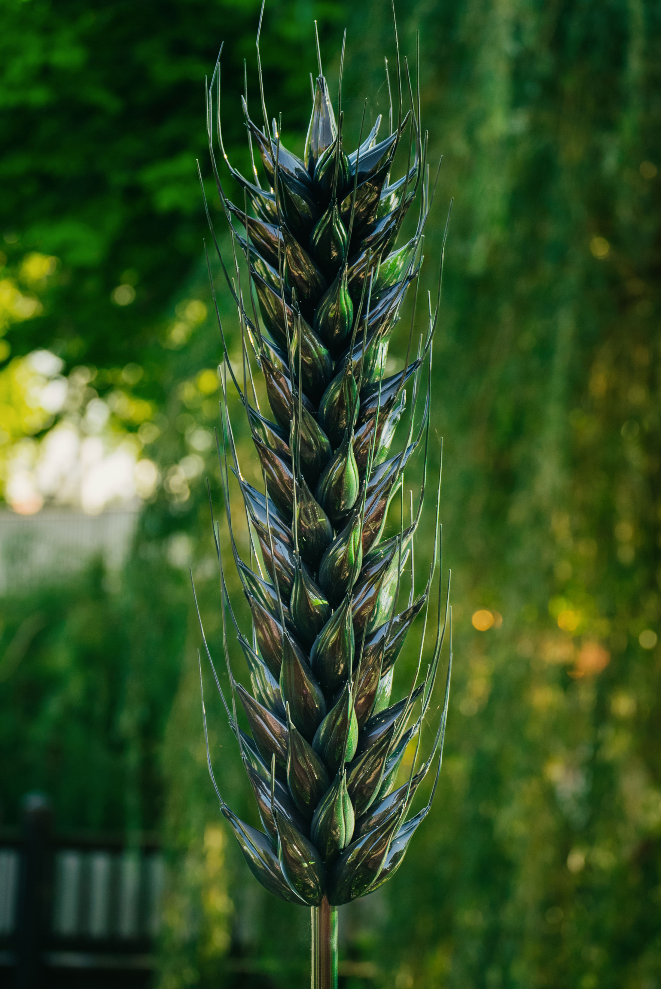 An oversized wheat stalk in synthetic colors.