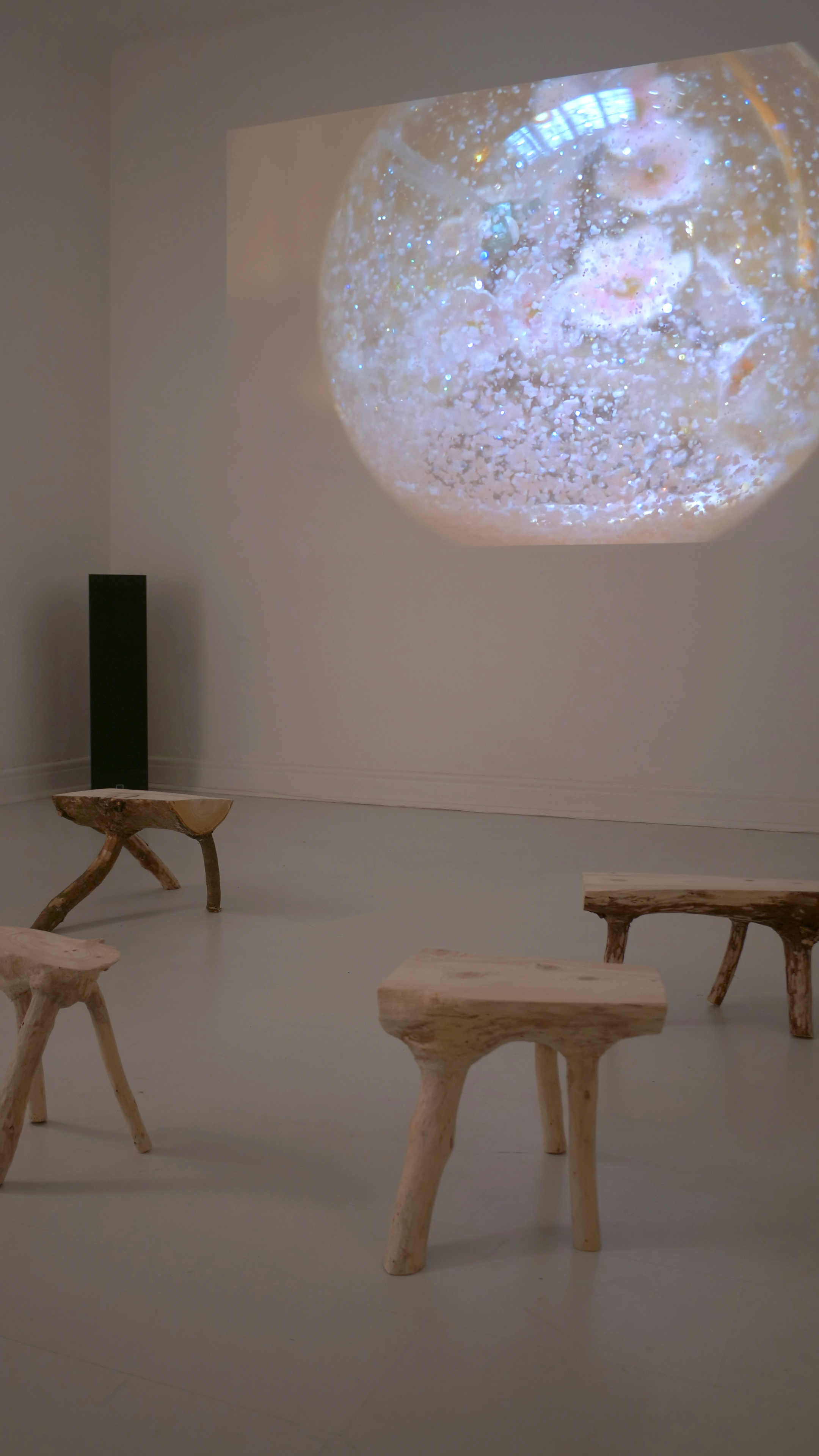 Installation view: Video and wooden stools (based on pre-industrial furniture taken directly from the shape of the tree).