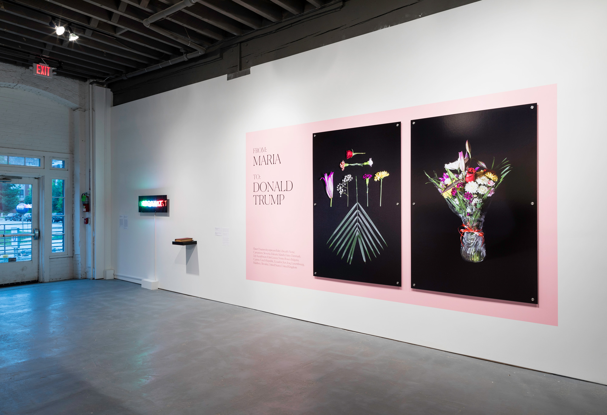 Installation view of photography of Maria — Flower for Immigration. Photograph of flower arrangement on black background