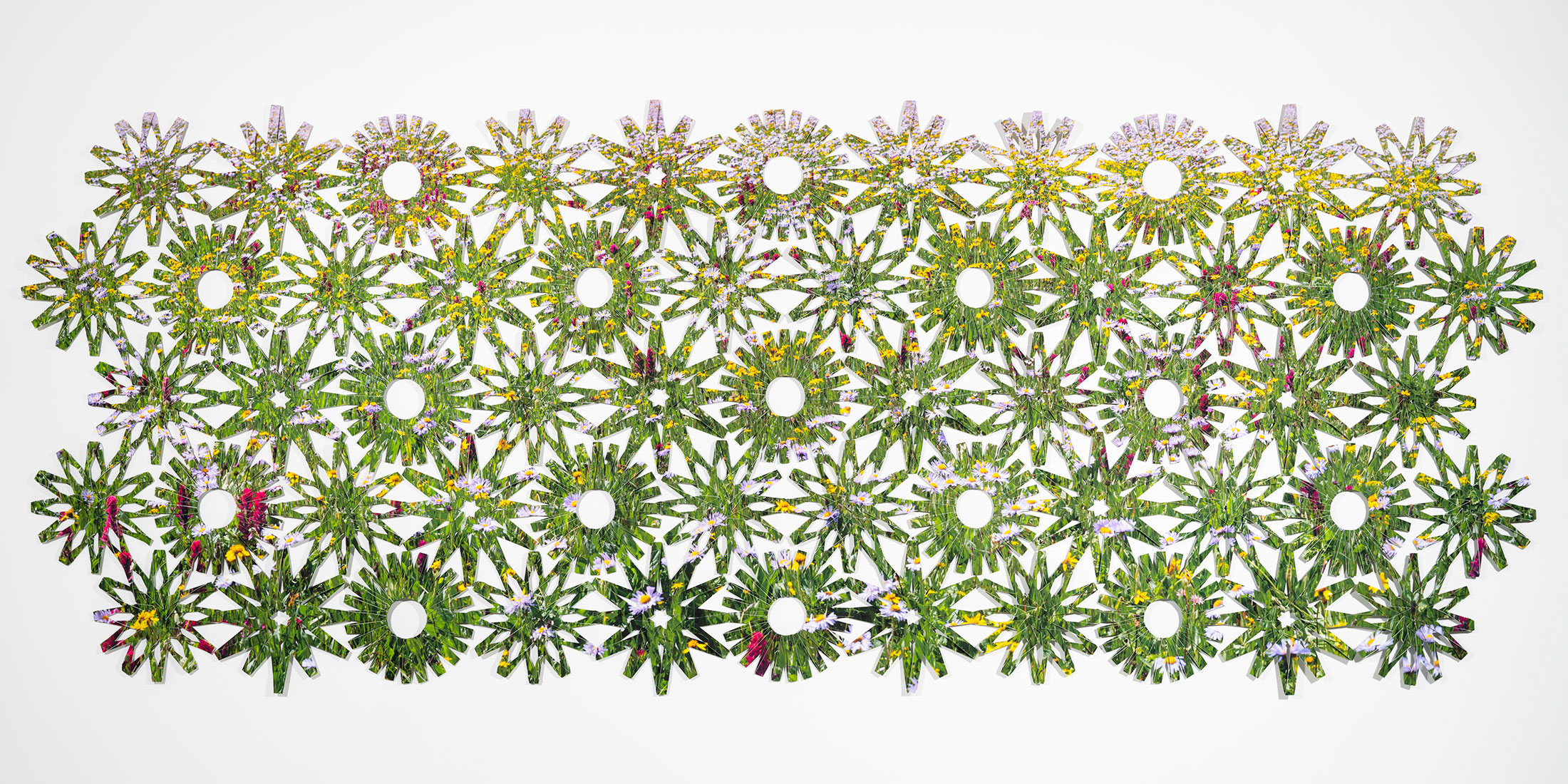 Folded Photographic net of alpine wildflower field featuring Arnica, Aster, and Castilleja flowers. The photograph has been printed, folded, and knit into the form of a net. The pattern of the net reflects the petal pattern of the flowers in the original image.