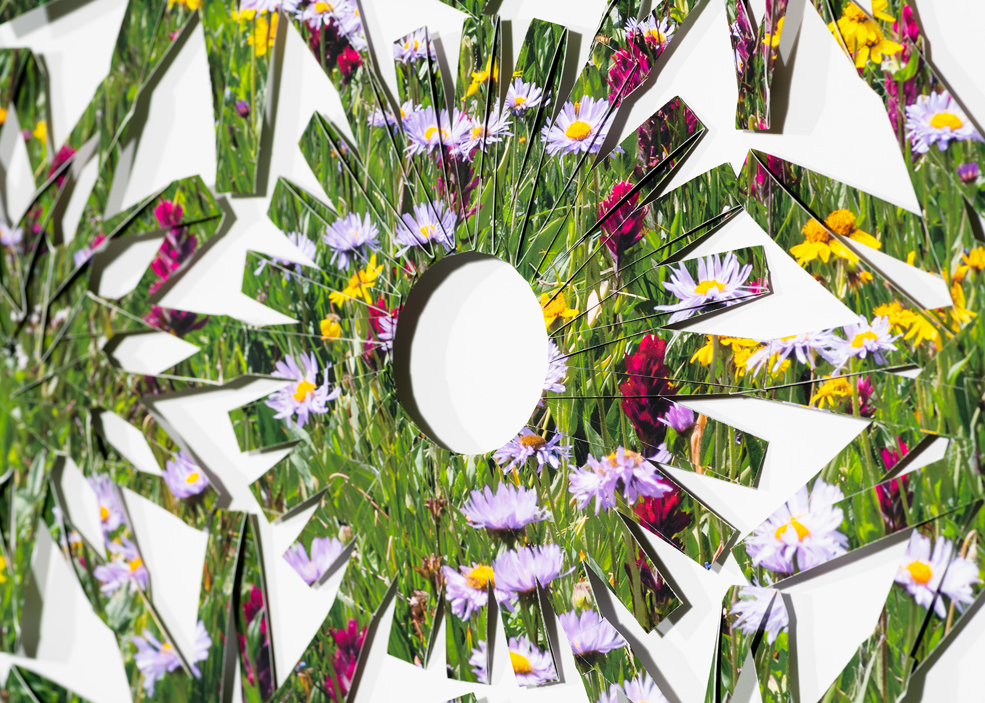 Detail of a folded Photographic net of alpine wildflower field featuring Arnica, Aster, and Castilleja flowers. The photograph has been printed, folded, and knit into the form of a net. The pattern of the net reflects the petal pattern of the flowers in the original image.