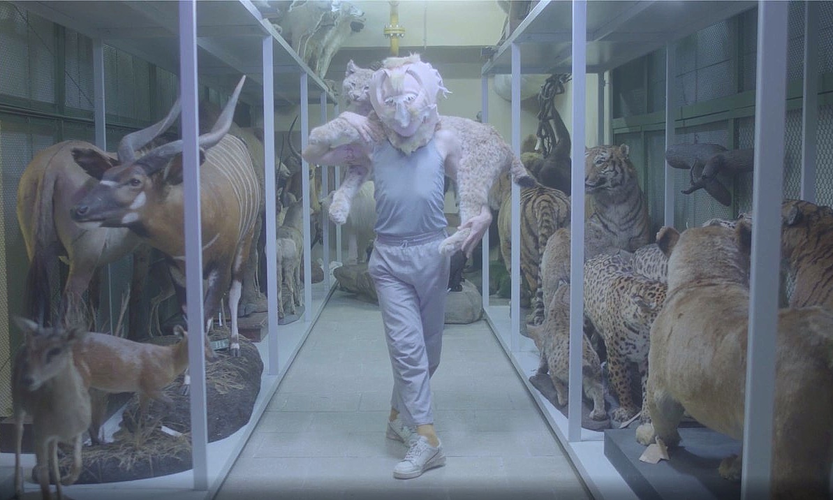 In this photograph, a dancer dressed in all pale blue and gray and sneakers faces the camera. They are wearing a mask that resembles the face of an owl and carrying a taxidermied wild cat over their shoulders. They are standing in the center of an aisle - on either side of them are taxidermied large animals: prey such as deer and antelope on the left and predators such as lions, tigers and leopards on the right. The lighting is muted and soft.