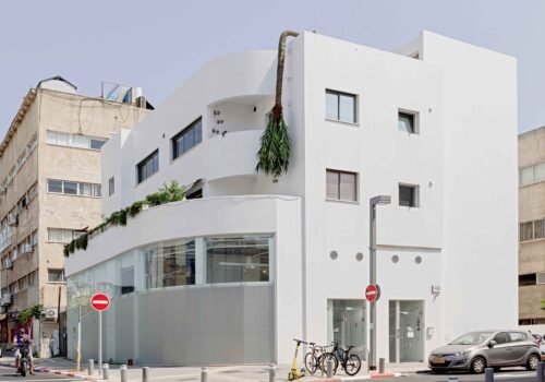 \Permanent installation of a fake coconut tree bending down from the roof along the facade of Artport Residency Building