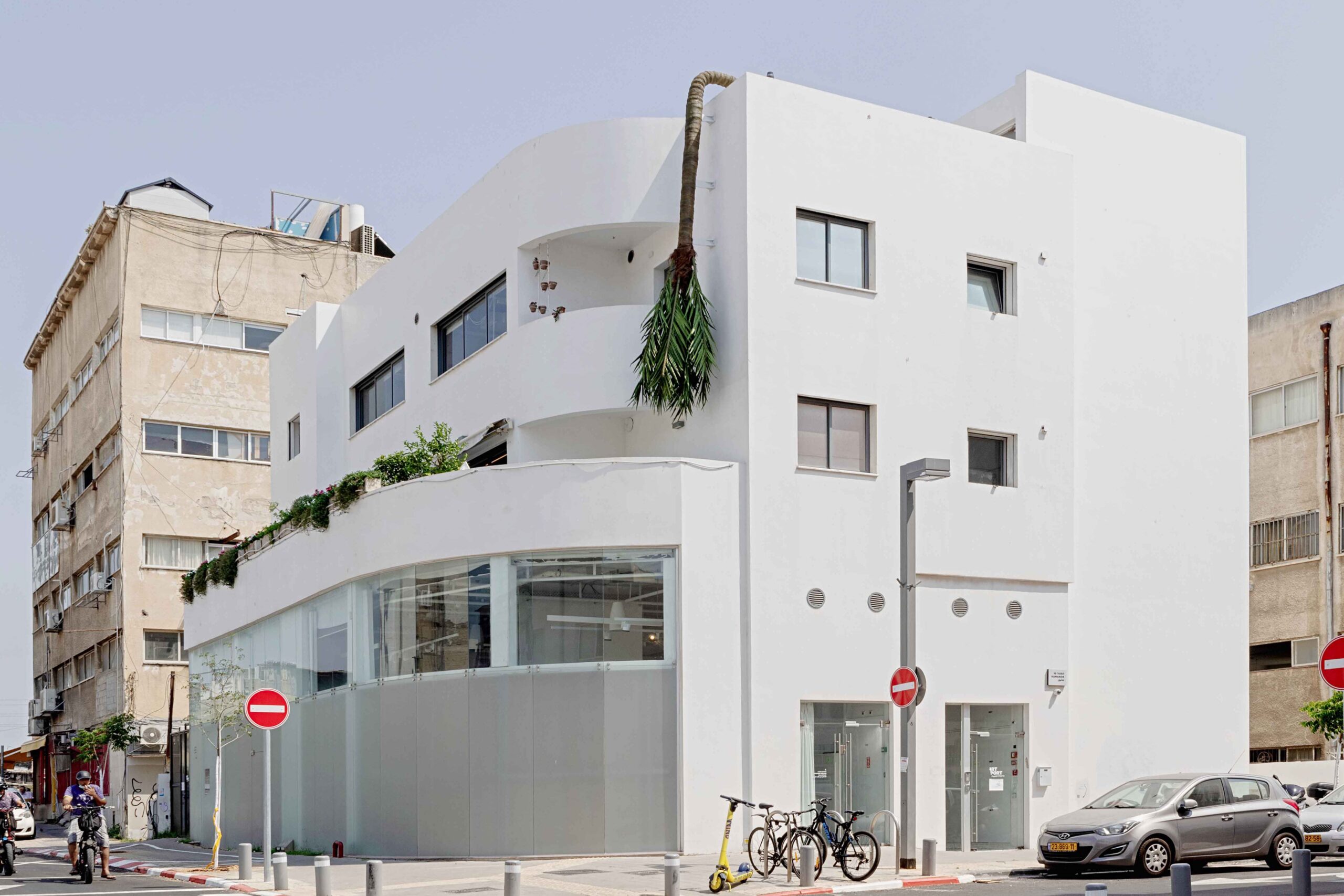 \Permanent installation of a fake coconut tree bending down from the roof along the facade of Artport Residency Building