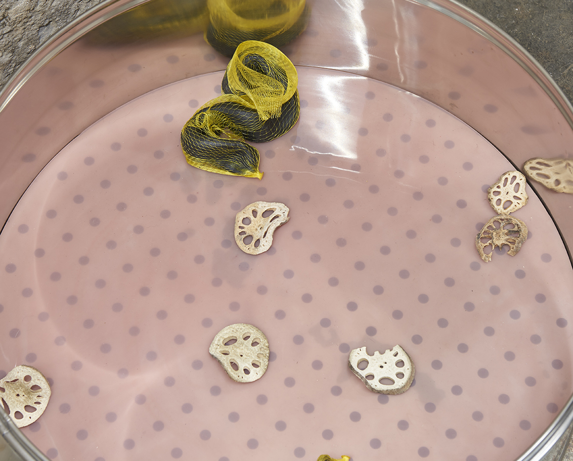 This is a close up of a stainless steel food steaming container with a layer of pink translucent silicone on the bottom. There are some slices of dried lotus root scattered across the top of the silicone and in the middle top there is a yellow mesh bag containing a slick, black clay form lying in a curved shape.