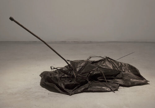 Bronze photo: Lior Zilberstein
