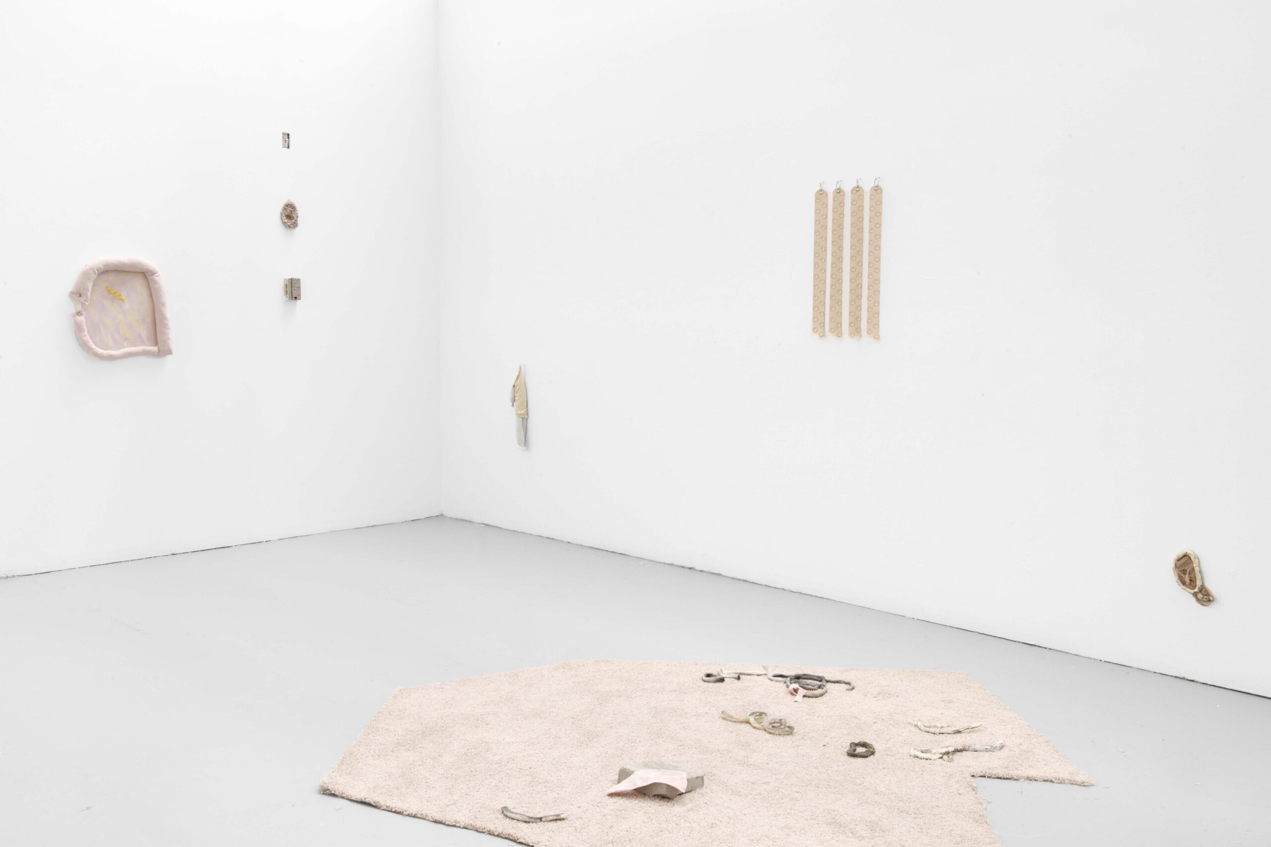 Studio Installation View at The Banff Centre for Arts and Creativity. A large white room with numerous small sculptural works hanging on the wall. On the grey concrete floor there is a beige carpet with various small abstract ceramic sculptures displayed on it.