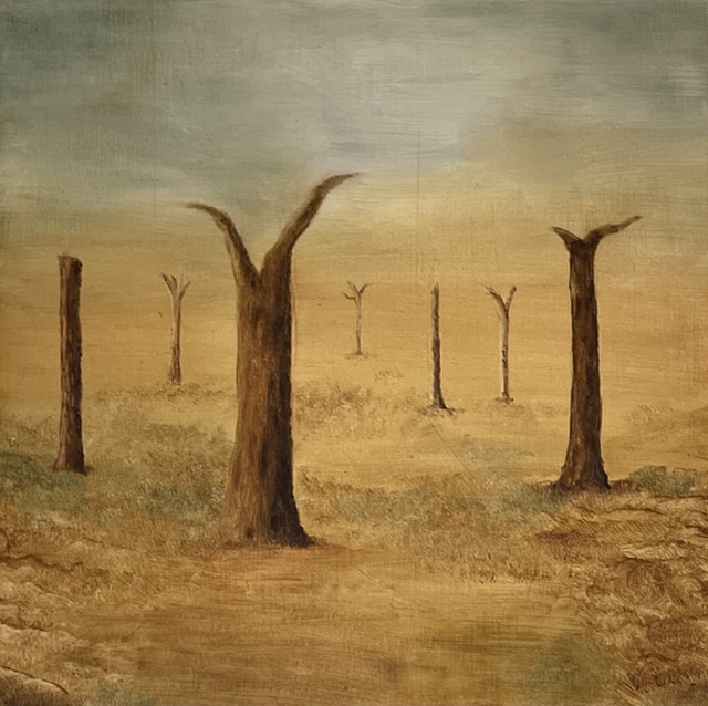 Trees in desert