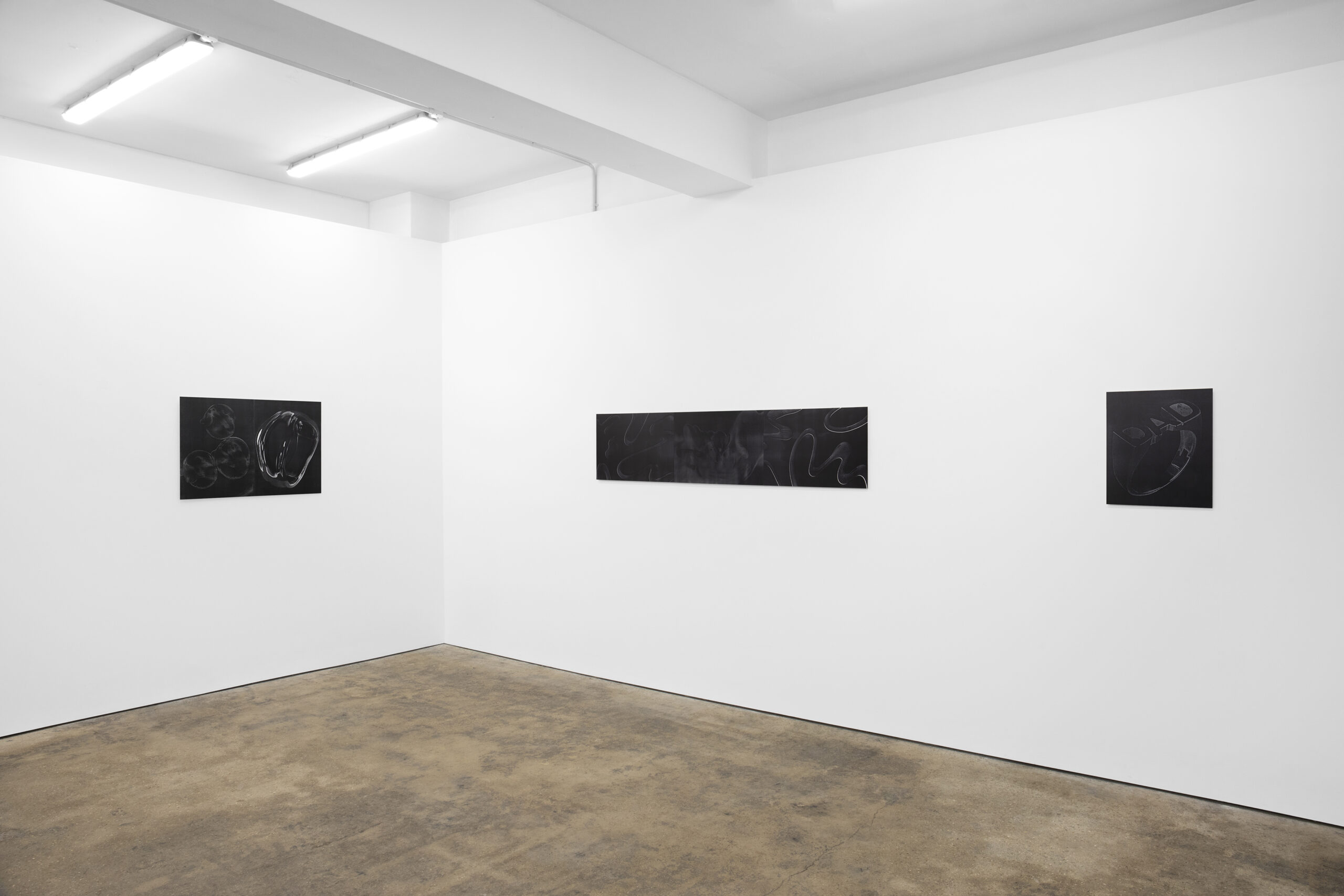 Hanna Stiegeler Installation View Piloto Pardo