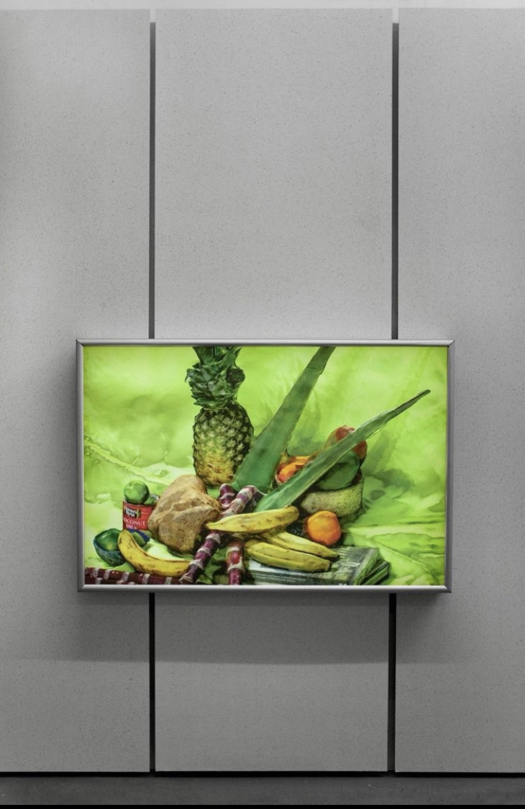 A backlit image of a still-life composed of pineapple, aloe vera, sugar cane, coconut milk, mango, clementines, lemons, lime, and books on a neon green backdrop. The image, which appears to be computer generated, is created through a 3D scanning process.