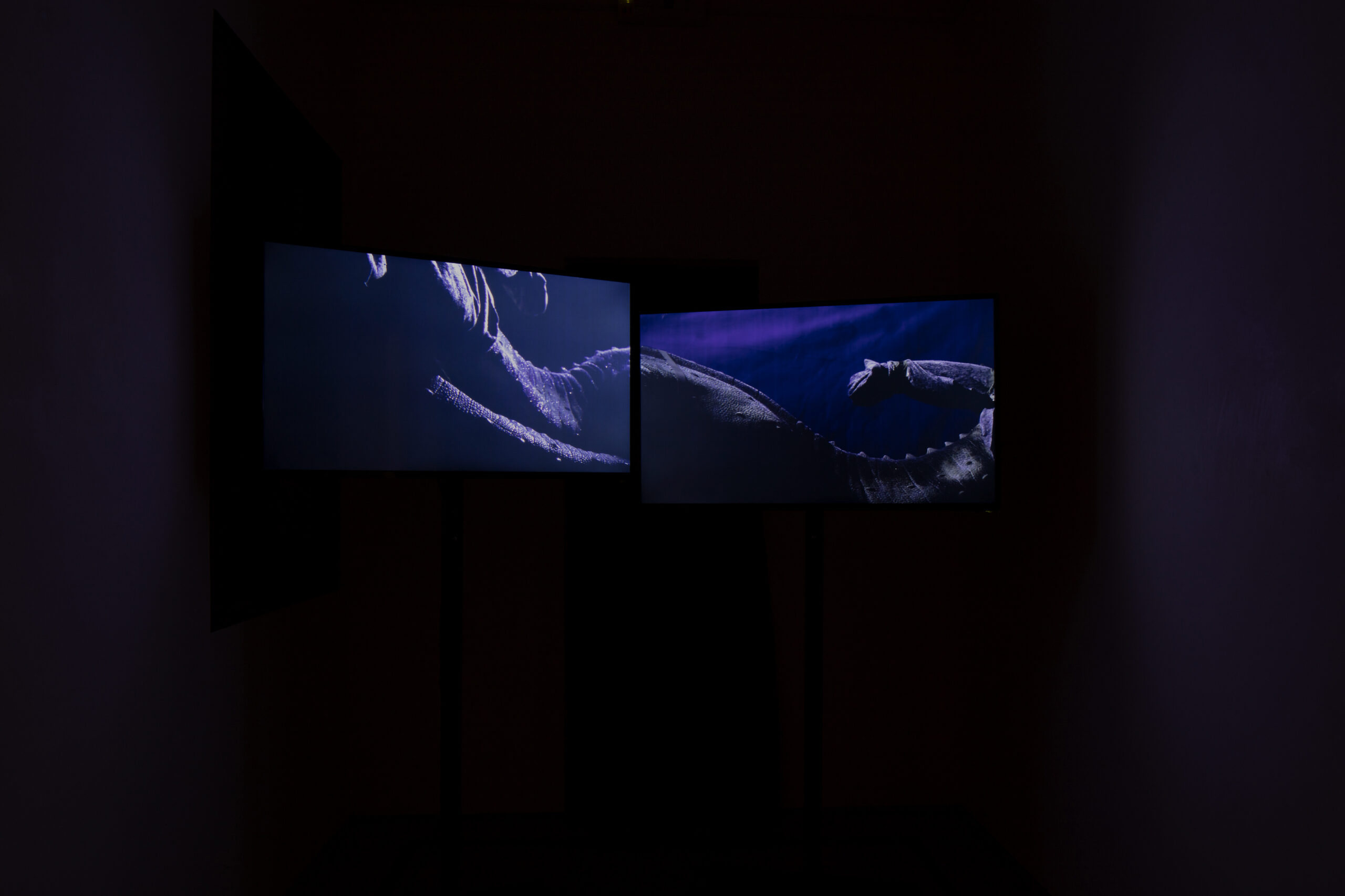 Drago, 2021, installation view at Francesco Fabbri Foundation 2021, ph. gerdastudio, courtesy of Francesco Fabbri Foundation and the artist