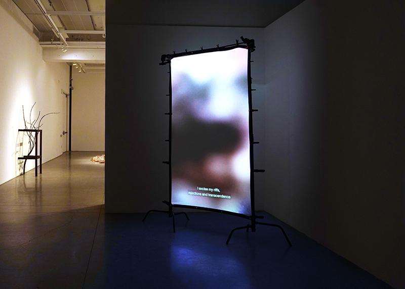 A single channel, vertical video is projected onto a freestanding screen within a gallery.
