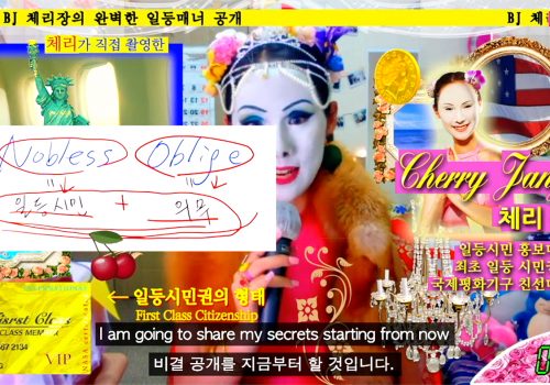Image of a text advertisement in Korean for a video series by BJ Cherry Jang. The text mentions 
