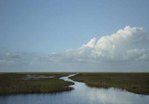 water meanders through a sawgrass marsh beneath a blue sky and clouds