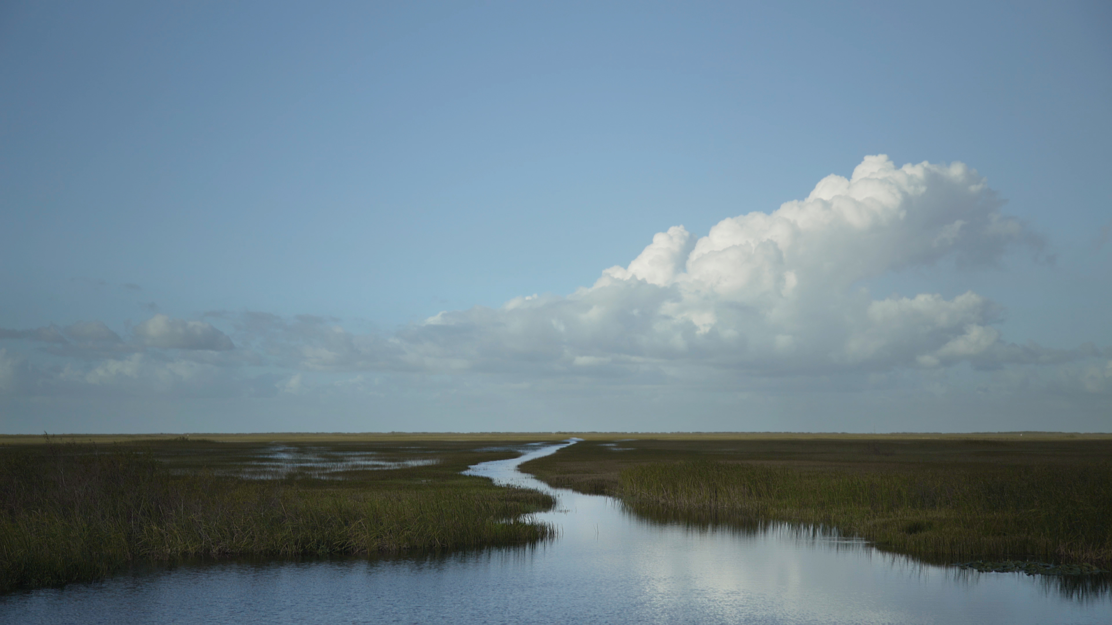 water meanders through a sawgrass marsh beneath a blue sky and clouds