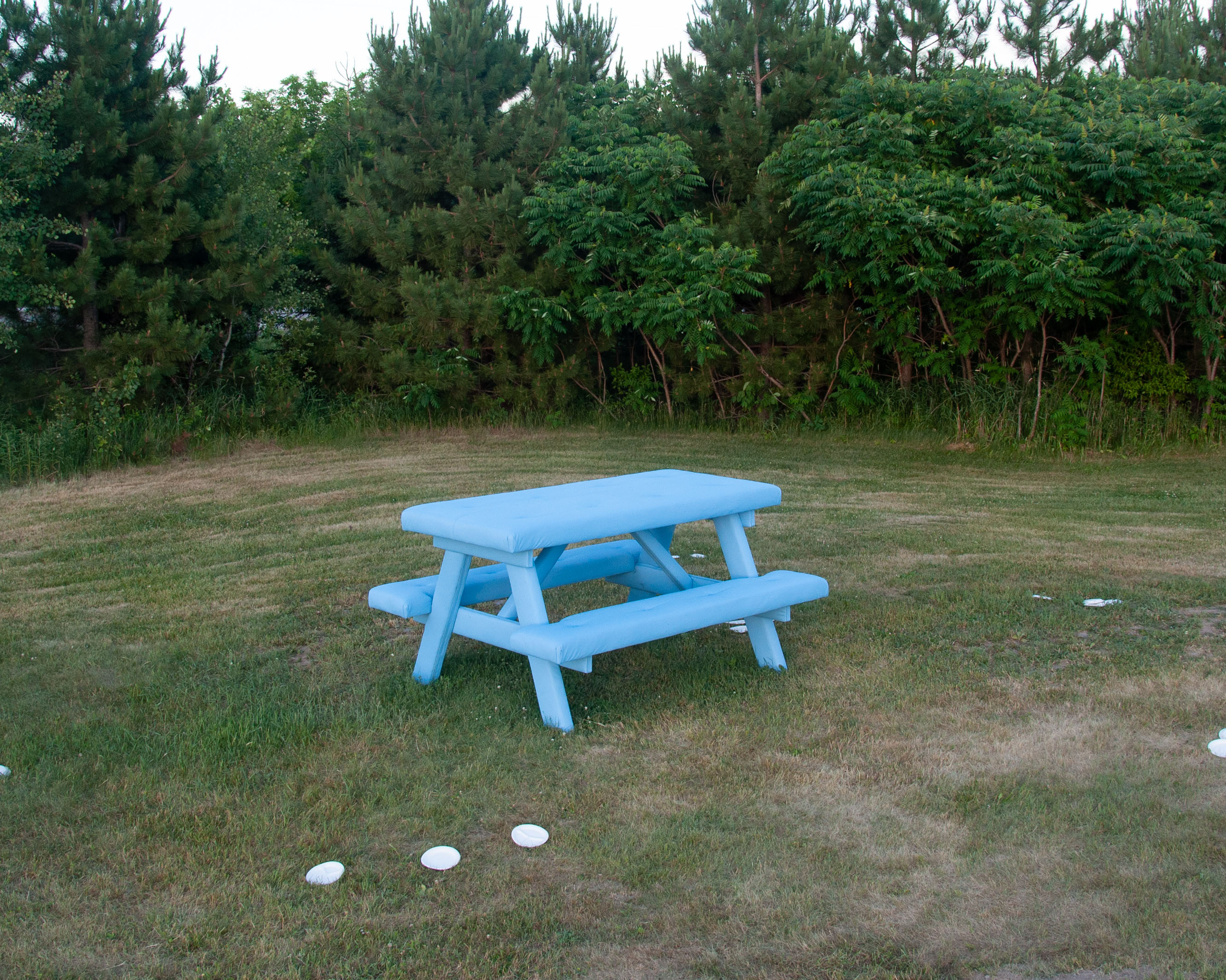 A blue upholstered picnic table in an outdoor space with green grass and tress behind it. Three white ceramic plates are laid in a row on the ground in front of it.