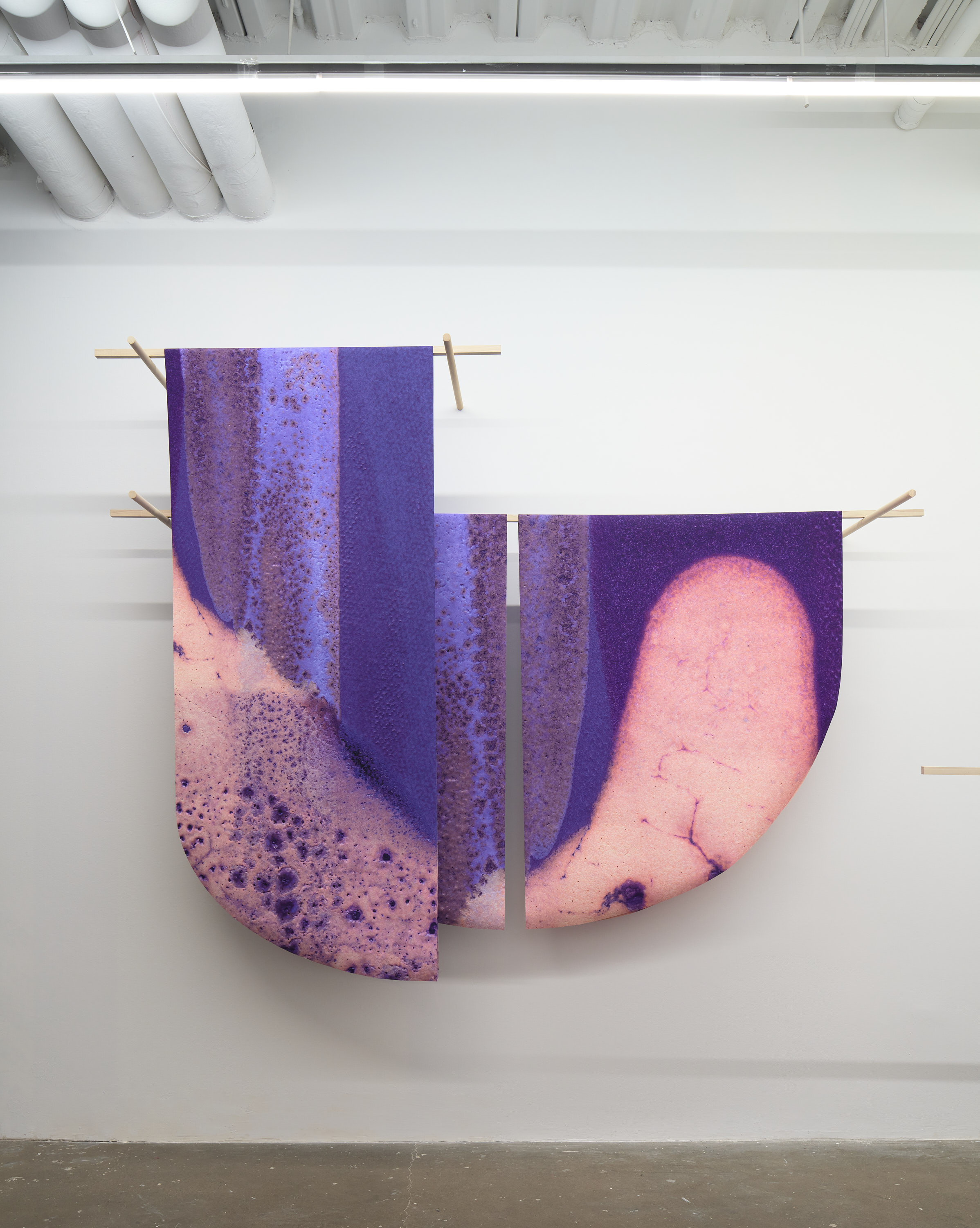 A hanging wall work consisting of deep purple prints of high resolutions scans of clay hanging over a poplar wood rod mounted on the wall.