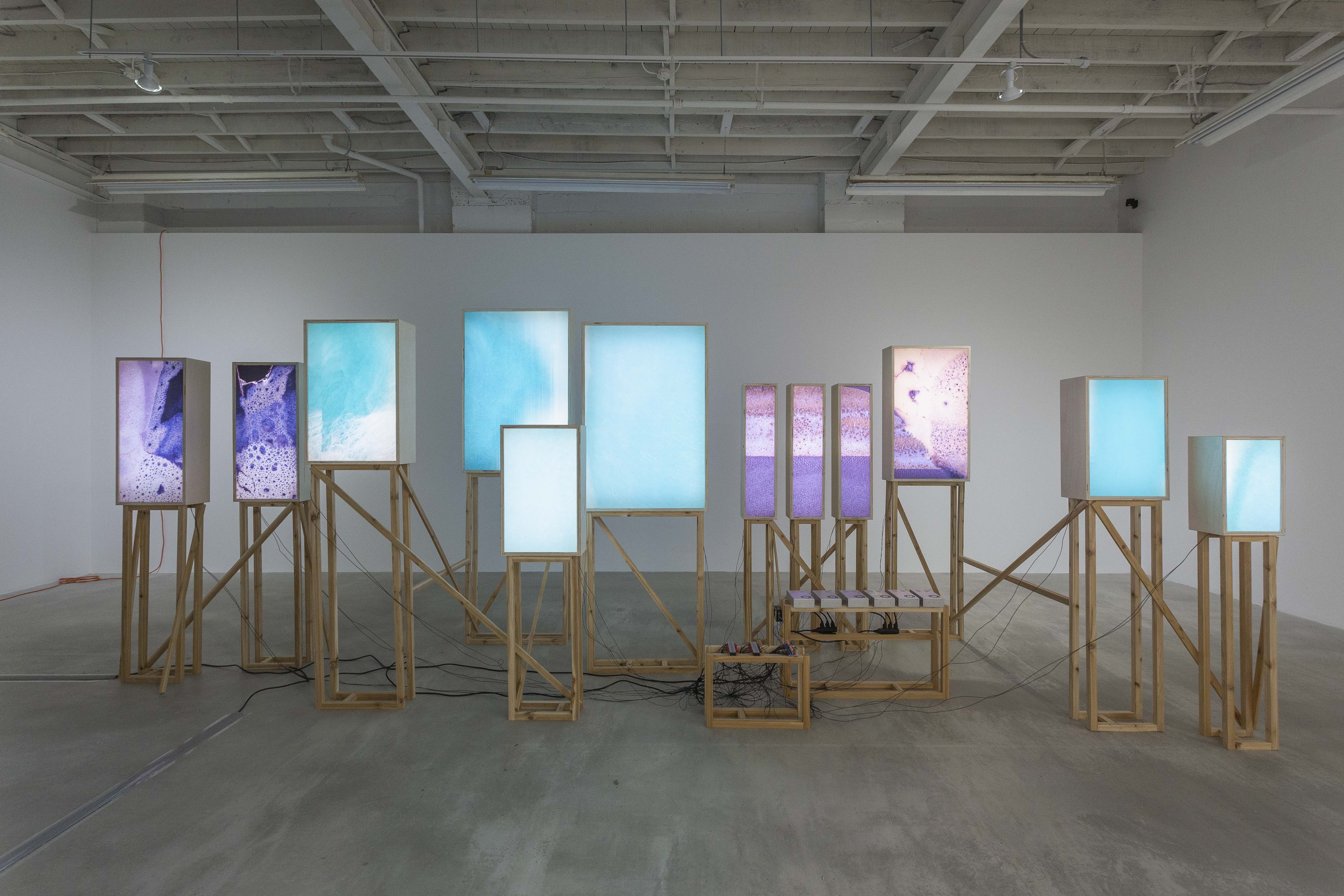 Thirteen brightly colored light boxes mounted in a structure made of 1 x 1 planks of poplar wood. Cables descend from each box and wind their way to a central control panel which controls the luminosity of each box