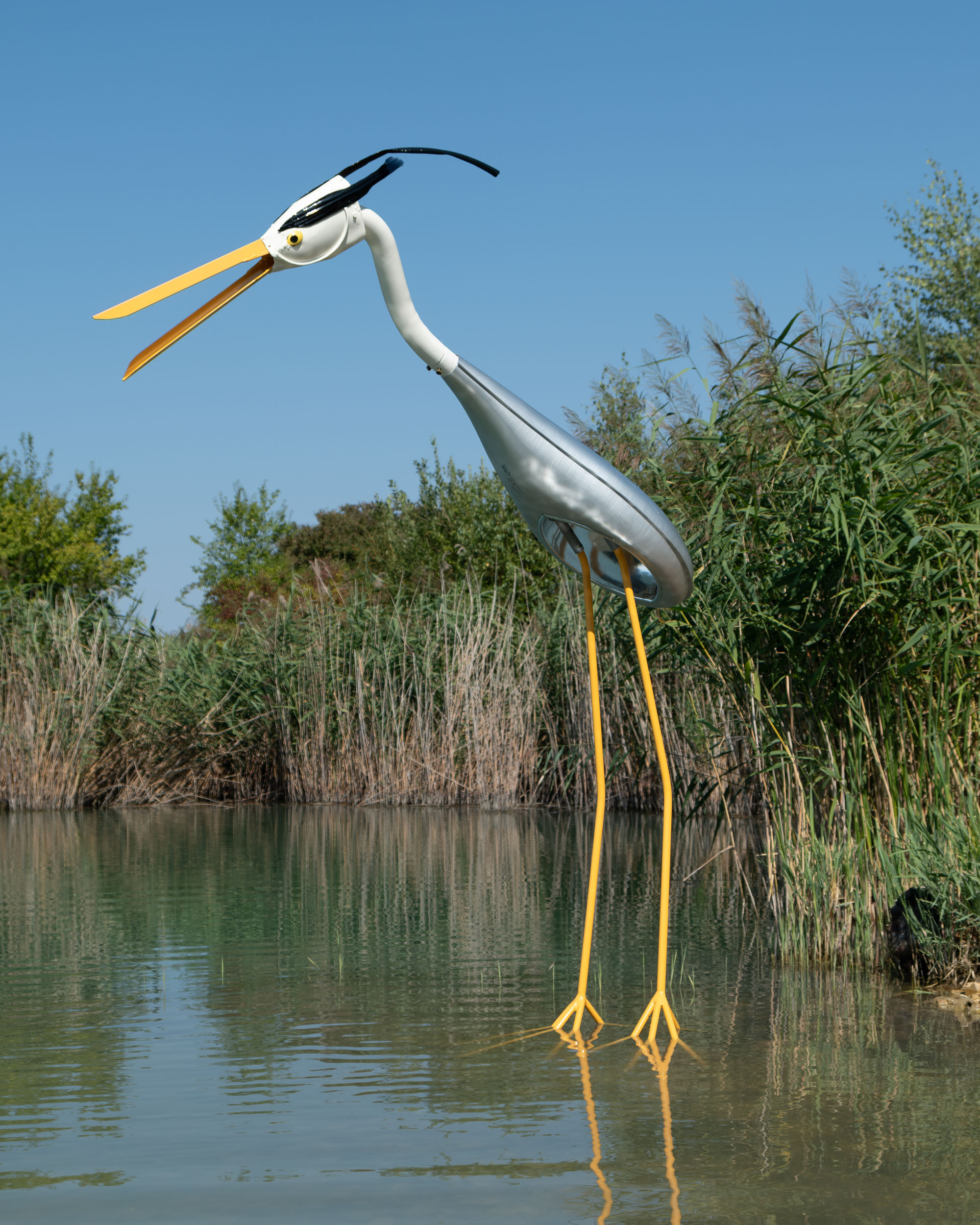 A grey heron out of an old street lamp stands on the shore of a lake.