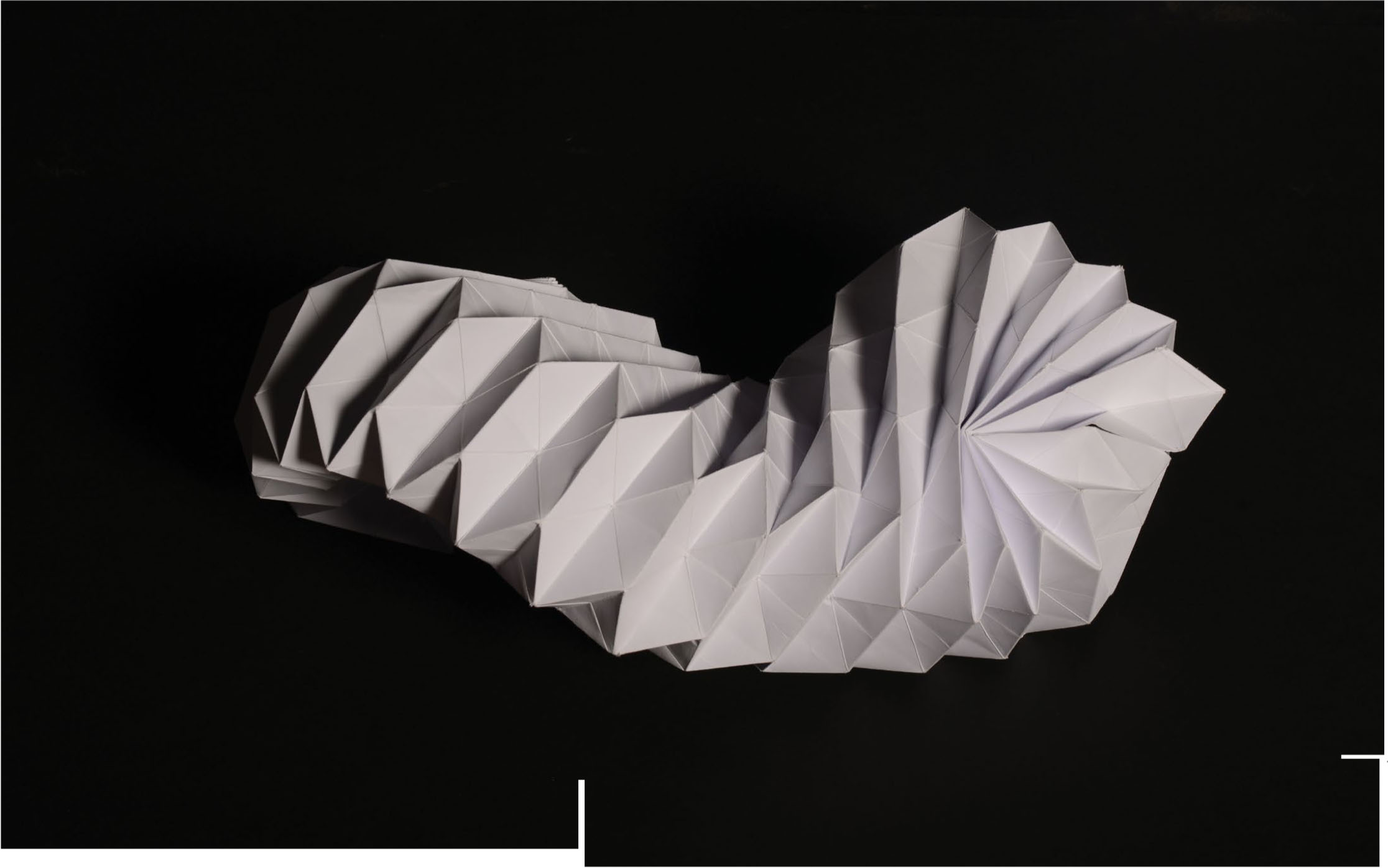 This piece explores the transformative potential of a single material—paper—used to create an intricate, three-dimensional structure. By manipulating a flat, two-dimensional surface into a dynamic form, the work challenges the boundary between a house and a home, exploring the metaphorical and literal shift from structure to space. Through precise folds and geometric repetition, the design embodies the fluidity and versatility of simple materials, showcasing how minimal components can convey complex ideas about form and function.