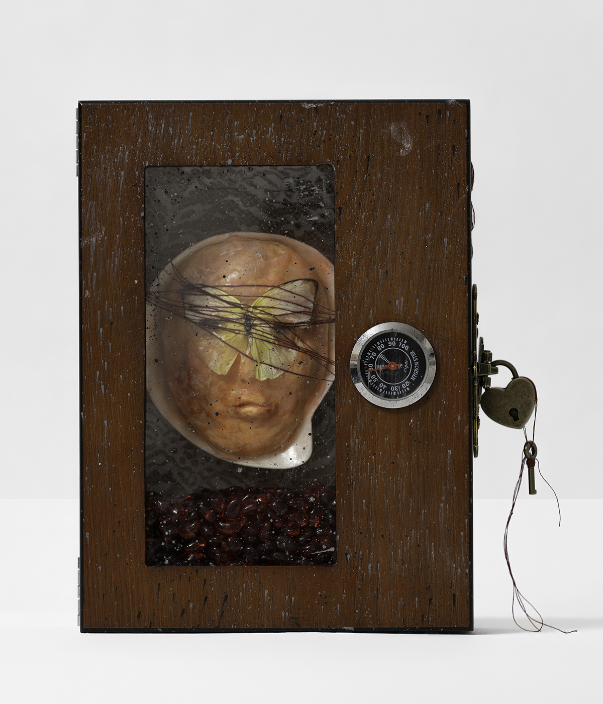 Box sculpture with a face cast, butterfly wings, black threads, and pomegranate seeds enclosed behind glass with a lock and dial.