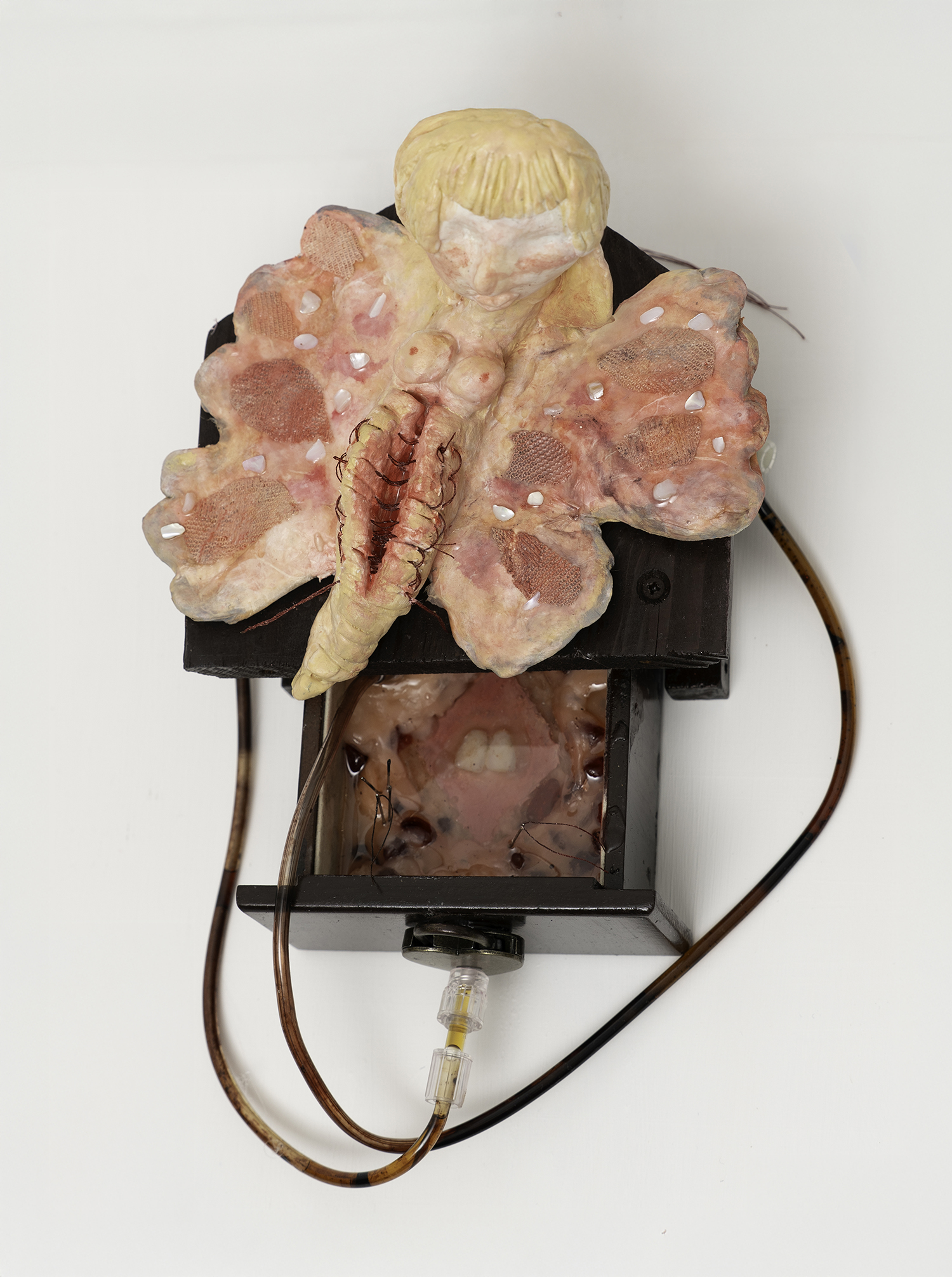 Sculptural figure with butterfly wings stitched open, exposing a visceral cavity, attached to a wooden box with tubes and resin-like material.